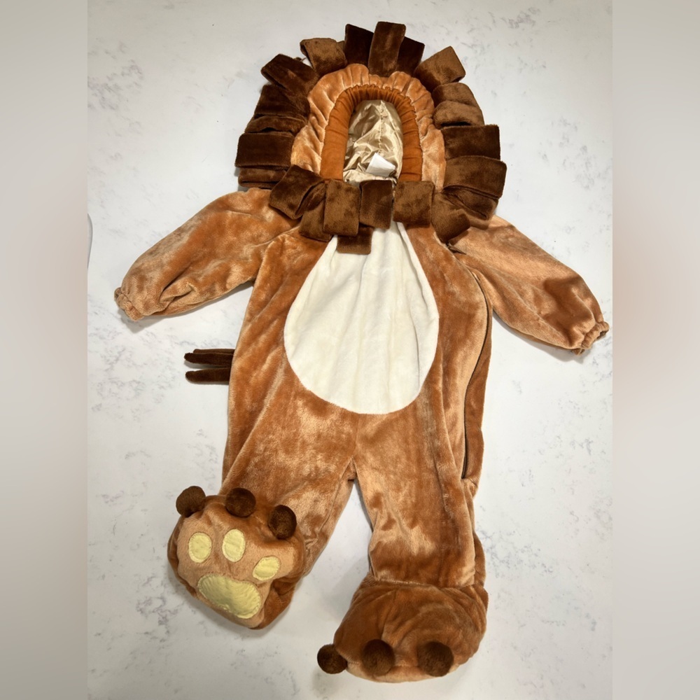Charming Lion Costume for Kids - Picture 3 of 11